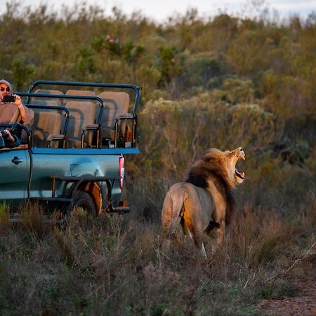 Gondwana Game Reserve Kleinberg Exterior foto