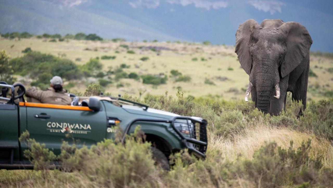Gondwana Game Reserve Kleinberg Exterior foto