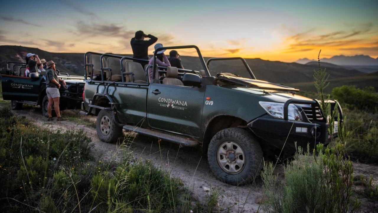 Gondwana Game Reserve Kleinberg Exterior foto