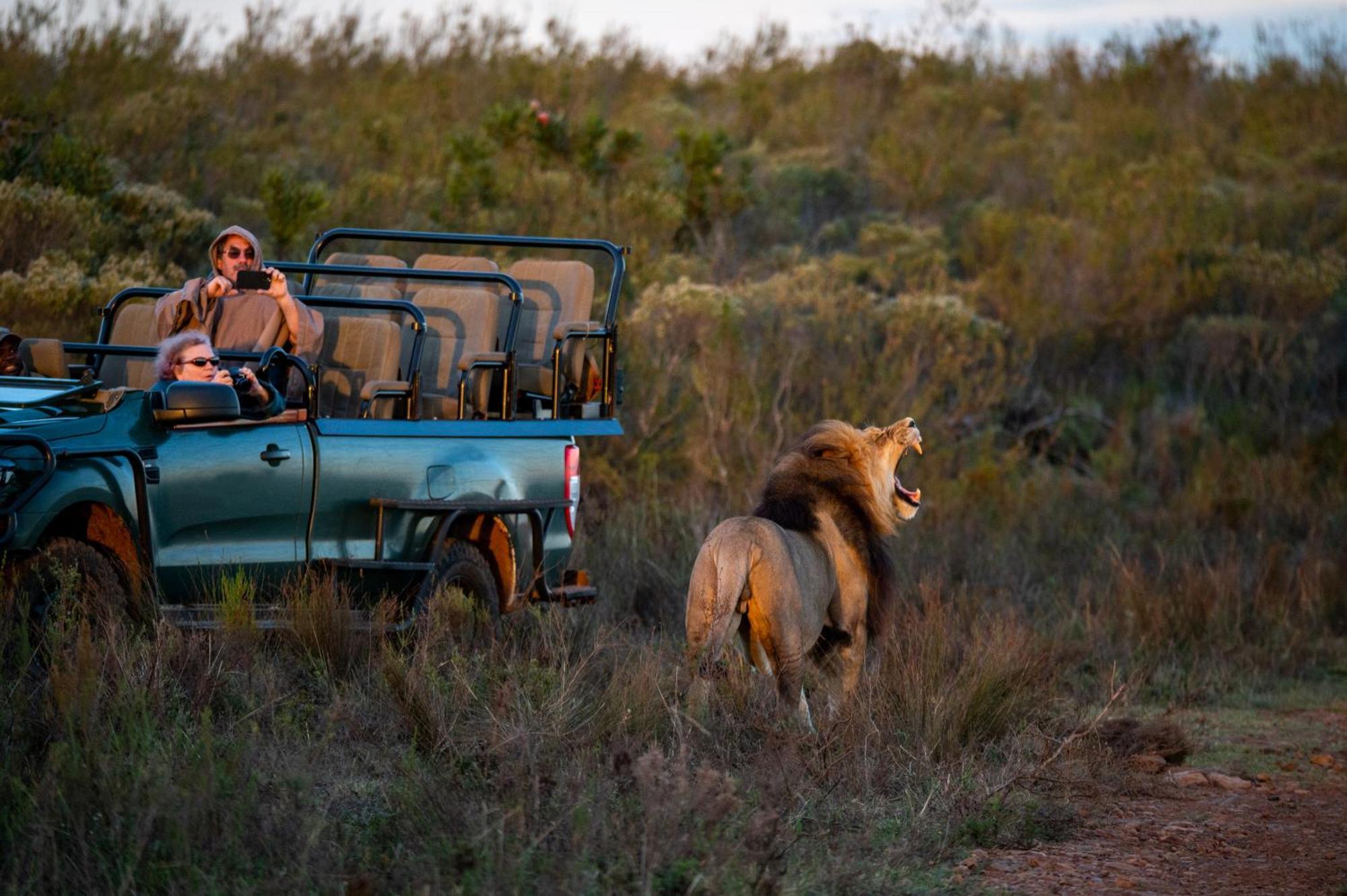 Gondwana Game Reserve Kleinberg Exterior foto
