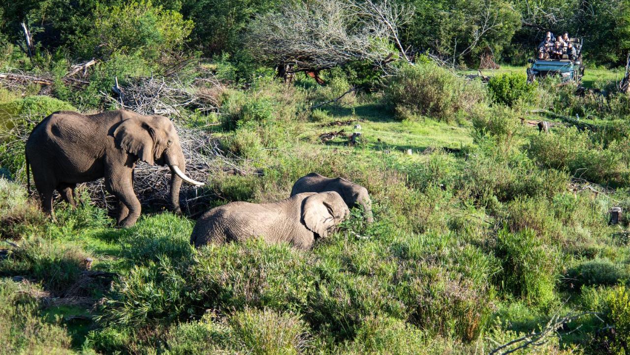 Gondwana Game Reserve Kleinberg Exterior foto
