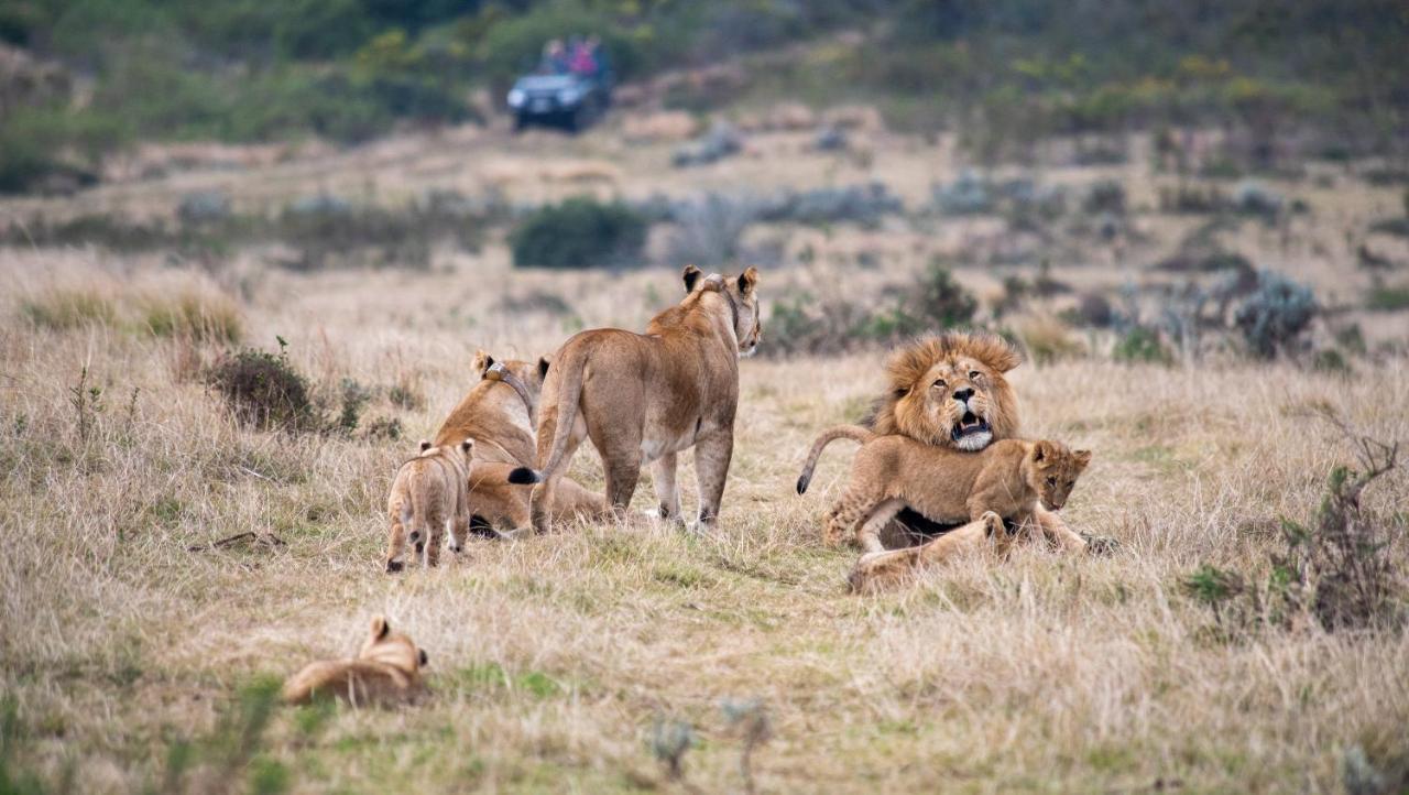 Gondwana Game Reserve Kleinberg Exterior foto